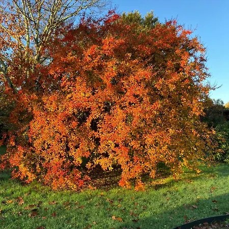 Maison Geze 3* Navarrenx