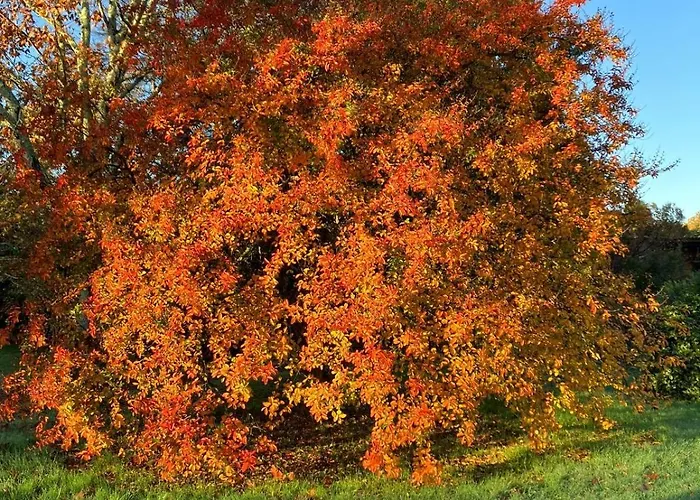 Maison Geze 3* Navarrenx